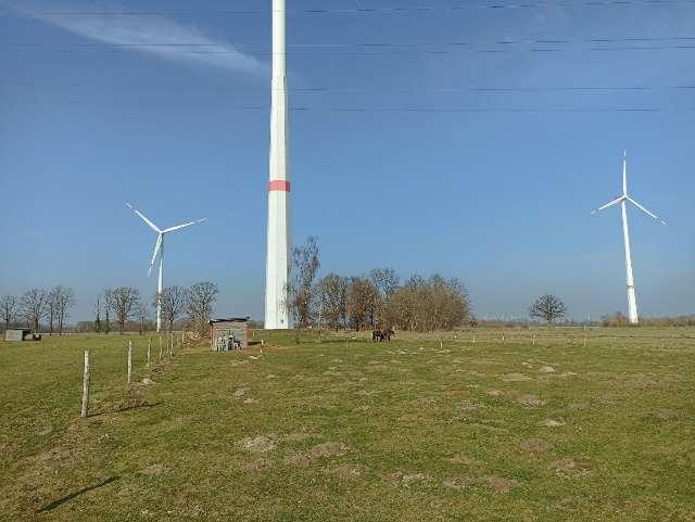 Sonstiges, Landwirtschaftsfläche