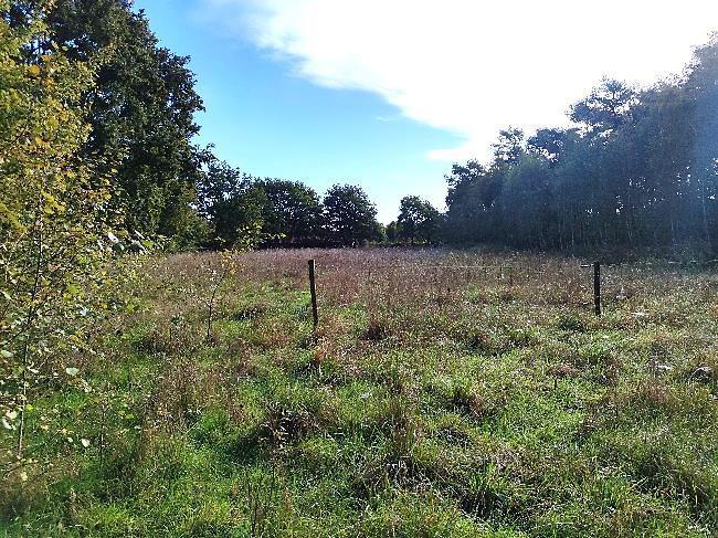 land- und forstwirtschaftlich genutztes Grundstück