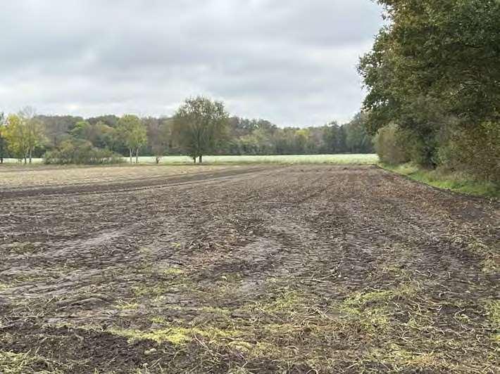land- und forstwirtschaftlich genutztes Grundstück