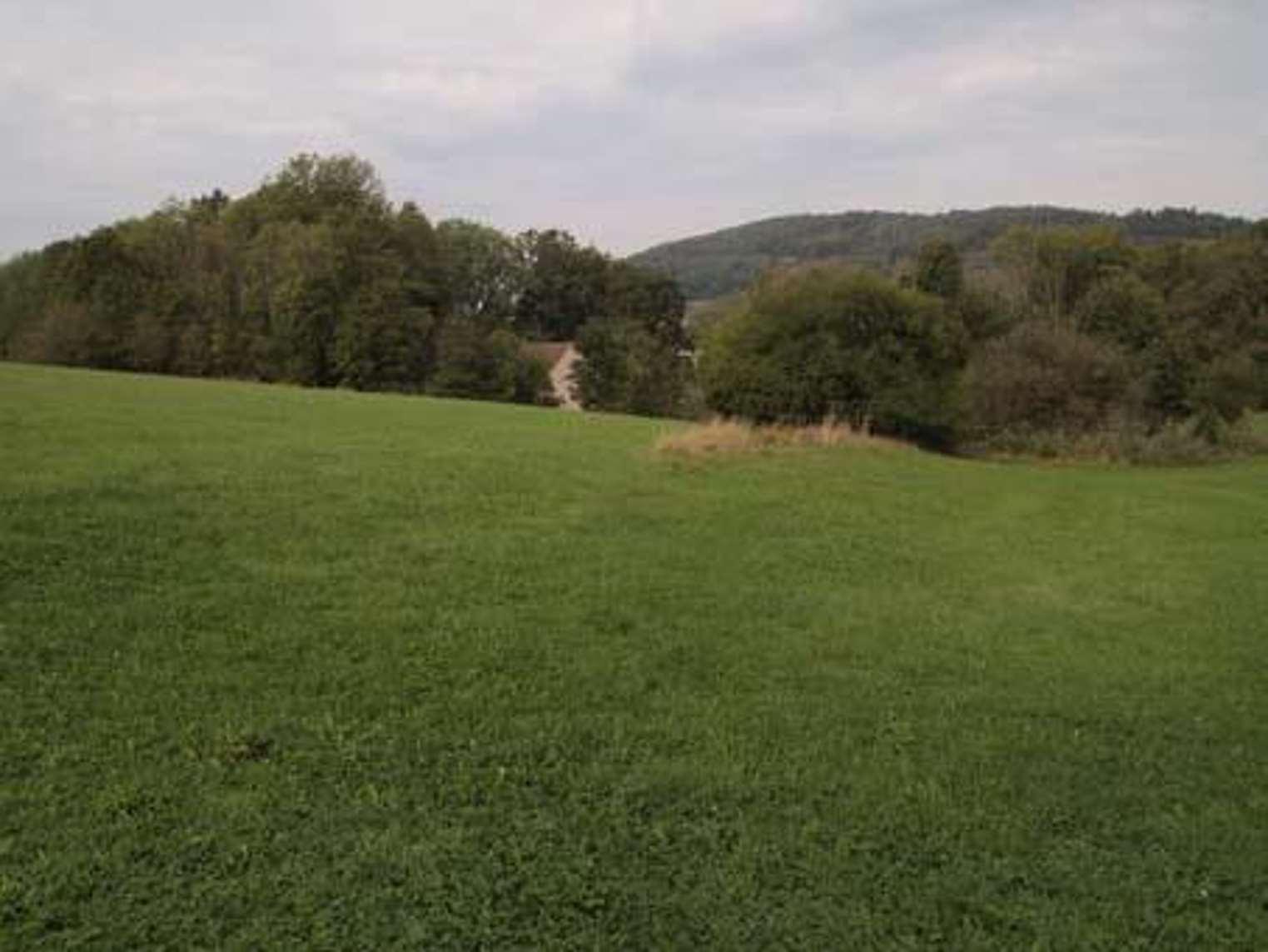 Ackerland, Grünland