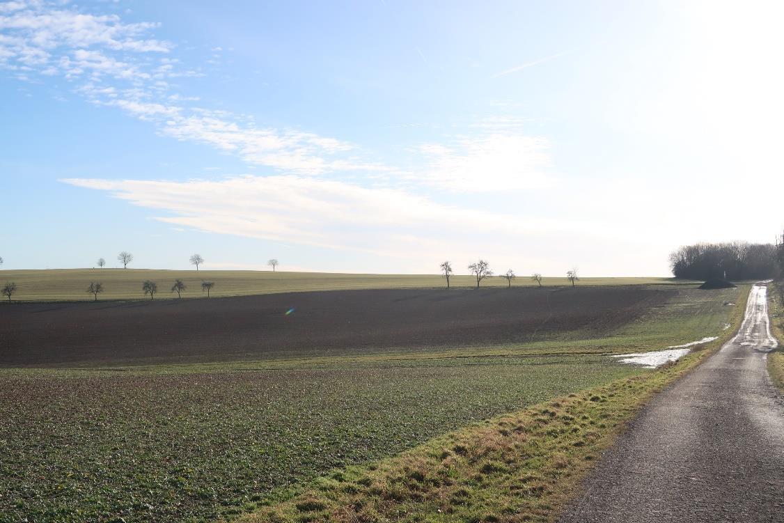 Landwirtschaftsfläche/Sondergebiet für Windenergie