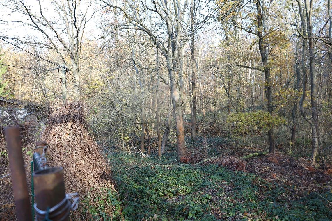 Sonstiges, Bungalow, Wald- und Verkehrsfläche