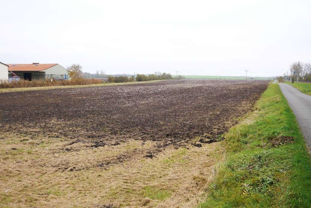 land- und forstwirtschaftlich genutztes Grundstück