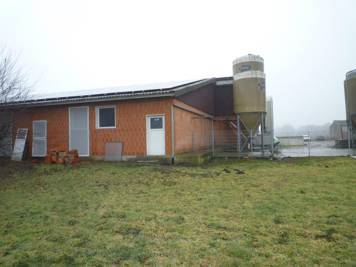 Sonstiges, Schweinemastbetrieb nebst Wohnhaus