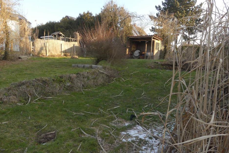 unbebautes Grundstück mit Geräteschuppen