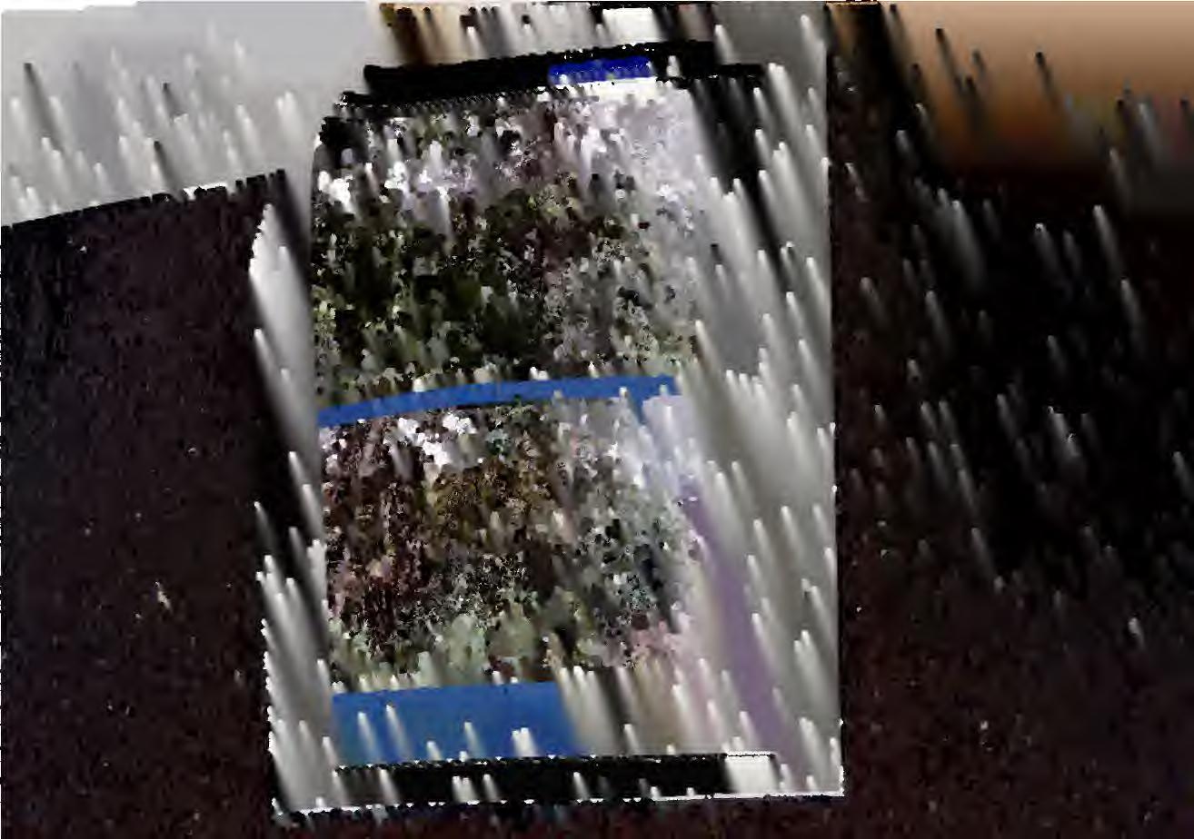 unbebautes Grundstück